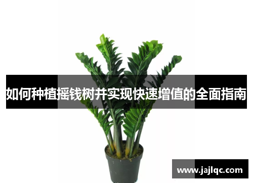如何种植摇钱树并实现快速增值的全面指南